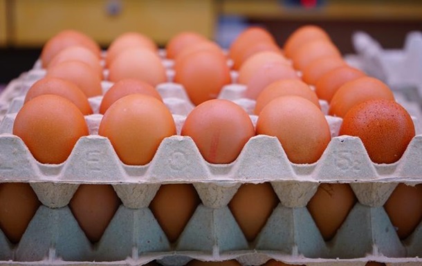 Украина рекордно нарастила экспорт яиц