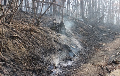 В Крыму второй крупный лесной пожар за сутки