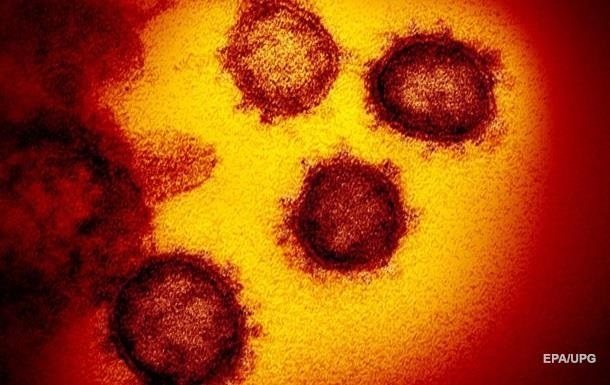 Назван ближайший «родственник» коронавируса
