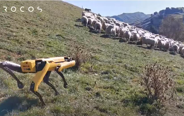 Робот-пес Spot научился пасти овец