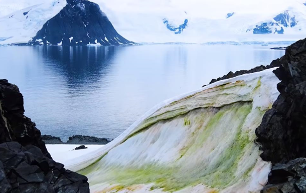 В Антарктиде появился «зеленый снег»
