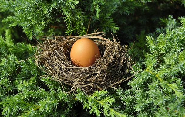 В Израиле обнаружили куриное яйцо возрастом около тысячи лет